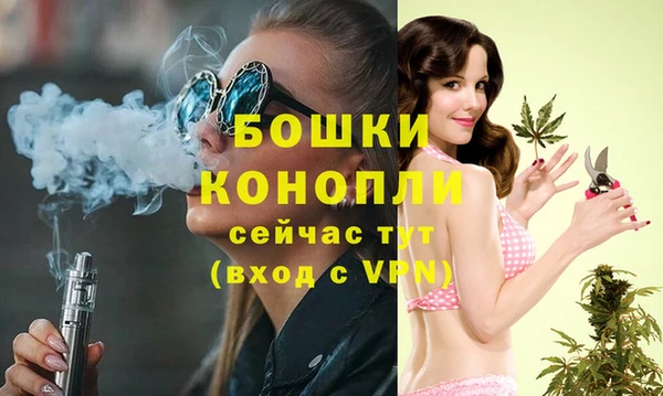 PSILOCYBIN Вязьма