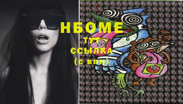 2c-b Ельня