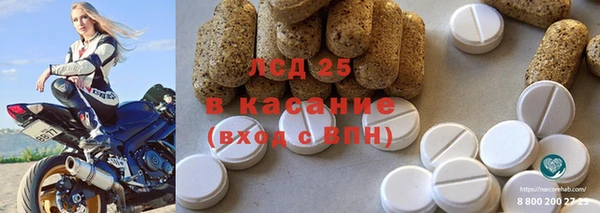 прущие грибы Елабуга