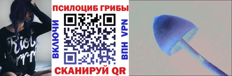 даркнет сайт  Кореновск  Галлюциногенные грибы Cubensis 